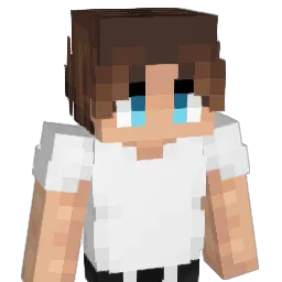 Joshyypix Minecraft avatar bust