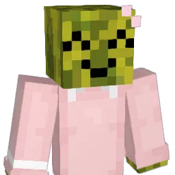 JoyfulWatermelon Minecraft avatar bust