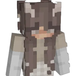Juliaaaaaaaaaaa Minecraft avatar bust