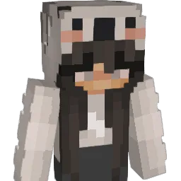 Julkaaa007 Minecraft avatar bust