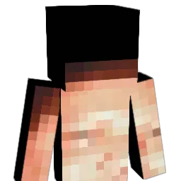 Julsthebogi1431 Minecraft avatar bust