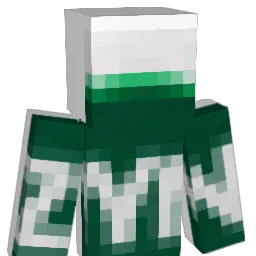 July808 Minecraft avatar bust