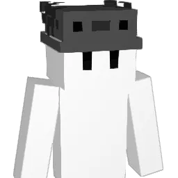 Jun7713 Minecraft avatar bust