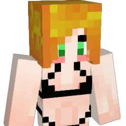 June_Baily Minecraft avatar bust