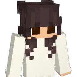 Juni_1157 Minecraft avatar bust