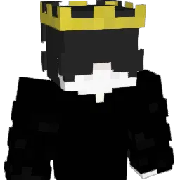 Juninp77 Minecraft avatar bust