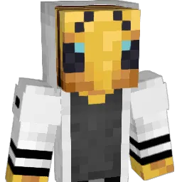 JunkBumblebee15 Minecraft avatar bust