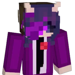 JustASimpleEcho