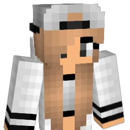 JustSomRandomGuy Minecraft avatar bust