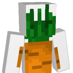 Justcarrots456 Minecraft avatar bust