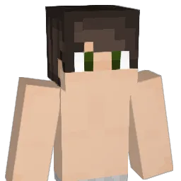 Jwalls604 Minecraft avatar bust