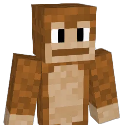 Jwdyn Minecraft avatar bust