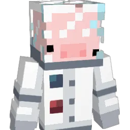 Jwhy1's Minecraft skin