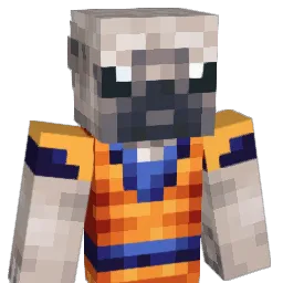 Jxviier_ Minecraft avatar bust