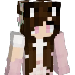 KAY_B1RD Minecraft avatar bust