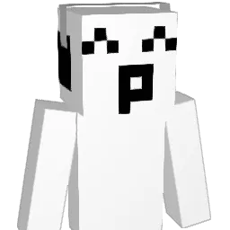 KAnJI_328 Minecraft avatar bust