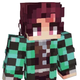 KDNinja12