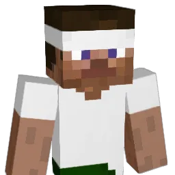 KNF1010 Minecraft avatar bust