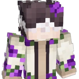 KNSutrym Minecraft avatar bust