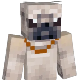 K_THE_FREESTYLER's Minecraft skin