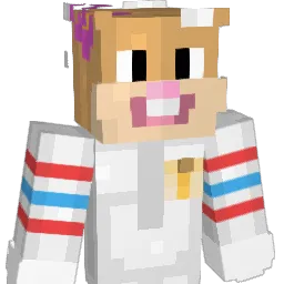 Kacper0407 Minecraft avatar bust
