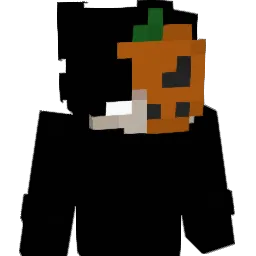 Kajtek504 Minecraft avatar bust