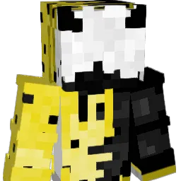 Kamil2009er11 Minecraft avatar bust