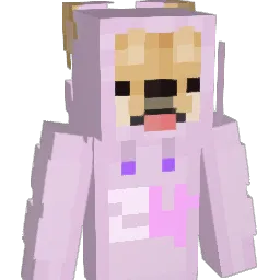 Kamyczek454 Minecraft avatar bust