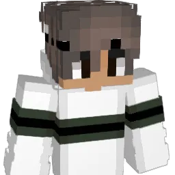 Kapusta696 Minecraft avatar bust