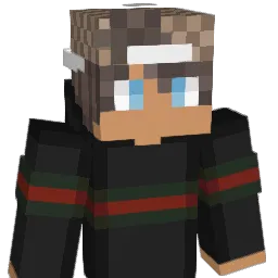 KarerPL Minecraft avatar bust
