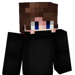 KarimBenzema69 Minecraft avatar bust