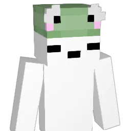 Kartierr Minecraft avatar bust