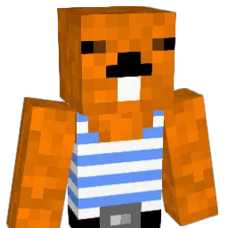 Kastor_Krafteur Minecraft avatar bust