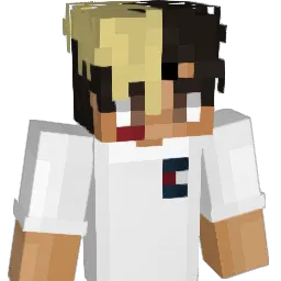Kauadoa Minecraft avatar bust