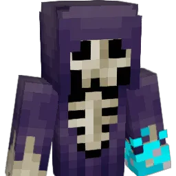 Kawash14 Minecraft avatar bust