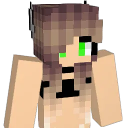 Kdx012 Minecraft avatar bust