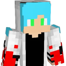 Kedi_Boklu_Tost Minecraft avatar bust