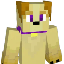 Ketchup221 Minecraft avatar bust