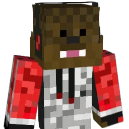 KetchupPancakes Minecraft avatar bust