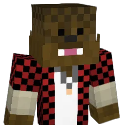 KidCreeper12 Minecraft avatar bust