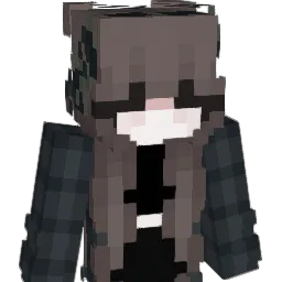 Kidems Minecraft avatar bust