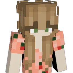 KidneyBeen Minecraft avatar bust