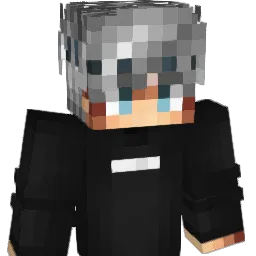 KiinqBrdx_ Minecraft avatar bust