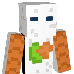 KillrSushii Minecraft avatar bust