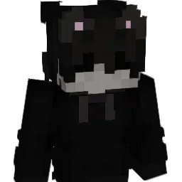 Killsomtin Minecraft avatar bust