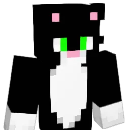 KingKing0309 Minecraft avatar bust
