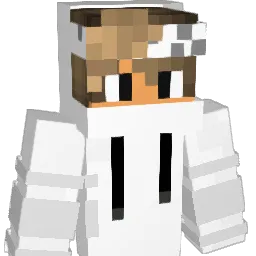King_appa_ Minecraft avatar bust