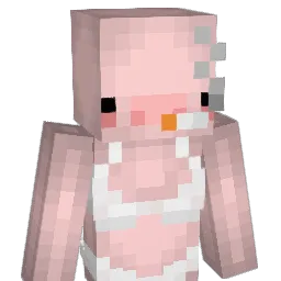 King_dobin Minecraft avatar bust