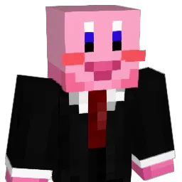 Kirbosh Minecraft avatar bust