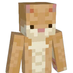 Kirs10__ Minecraft avatar bust